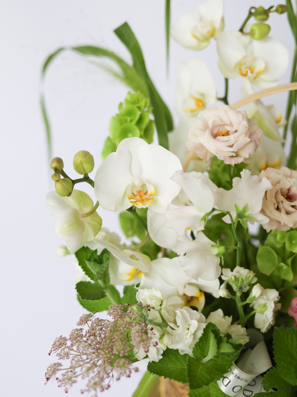 НЕЖНАЯ КОРЗИНА С ОРХИДЕЕЙ И СЕЗОННЫМИ ЛЕТНИМИ ЦВЕТАМИ НЕЖНАЯ КОРЗИНА С ОРХИДЕЕЙ И СЕЗОННЫМИ ЛЕТНИМИ ЦВЕТАМИ