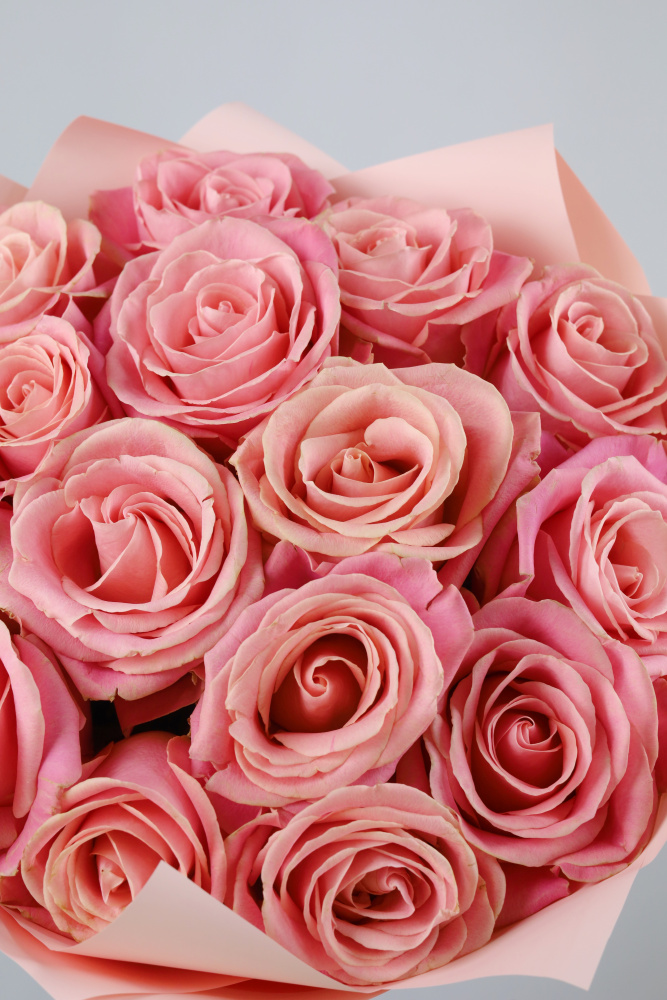 БУКЕТ 15 РОЗОВЫХ РОЗ БУКЕТ 15 РОЗОВЫХ РОЗ