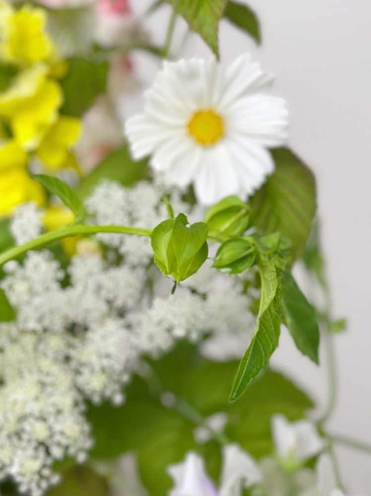 НЕЖНЫЙ БУКЕТ ИЗ ФЕРМЕРСКИХ ЦВЕТОВ НЕЖНЫЙ БУКЕТ ИЗ ФЕРМЕРСКИХ ЦВЕТОВ