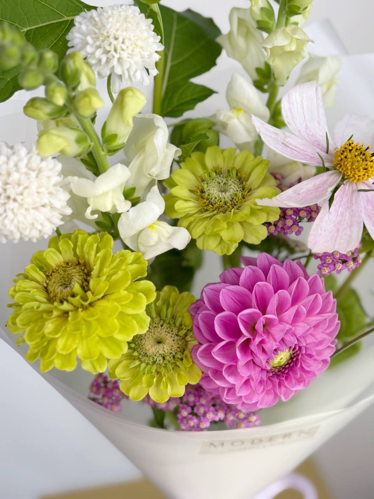 БУКЕТ С ГЕОРГИНОМ И ЦИННИЕЙ БУКЕТ С ГЕОРГИНОМ И ЦИННИЕЙ