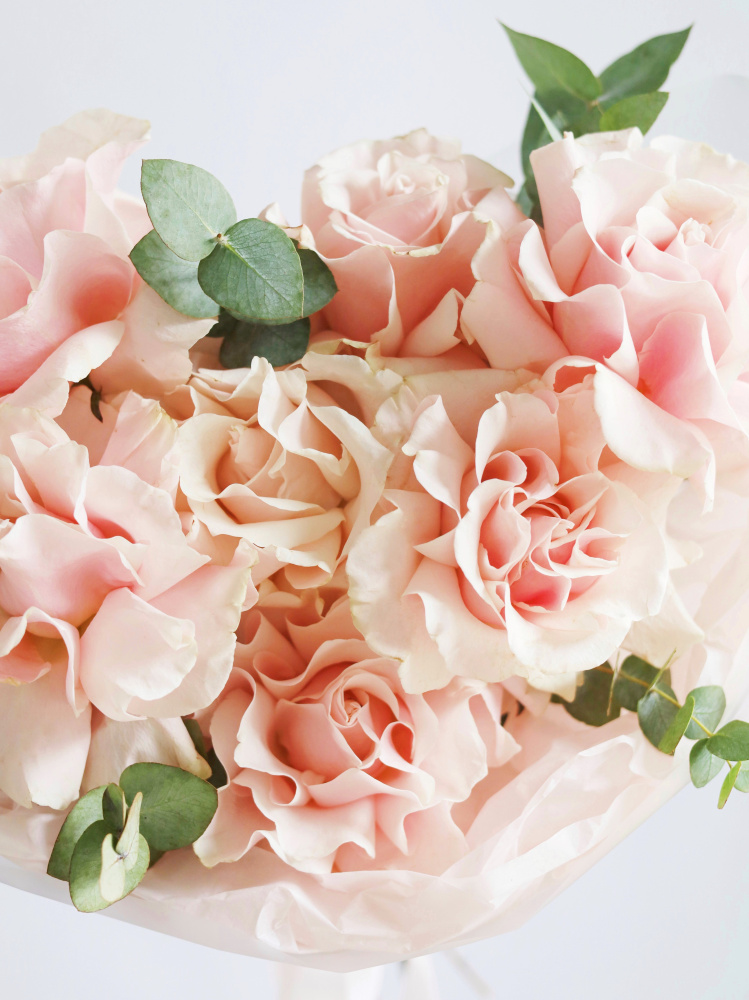 БУКЕТ 7 ФРАНЦУЗСКИХ РОЗ БУКЕТ 7 ФРАНЦУЗСКИХ РОЗ