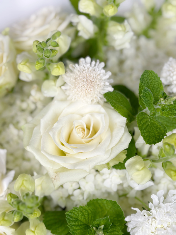 ТОРЖЕСТВЕННЫЙ БУКЕТ В БЕЛЫХ ТОНАХ ТОРЖЕСТВЕННЫЙ БУКЕТ В БЕЛЫХ ТОНАХ