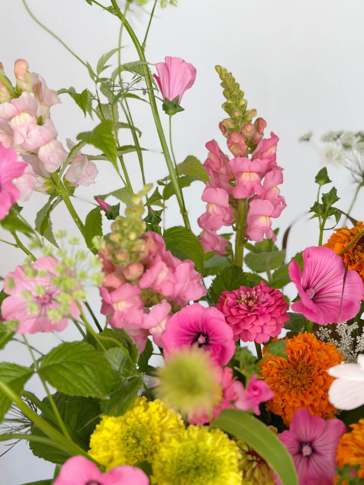 КОСМЕЯ, ЛАВАТЕРА, ЛЬВИНЫЙ ЗЕВ В ПЛЕТЕНОЙ КОРЗИНЕ КОСМЕЯ, ЛАВАТЕРА, ЛЬВИНЫЙ ЗЕВ В ПЛЕТЕНОЙ КОРЗИНЕ